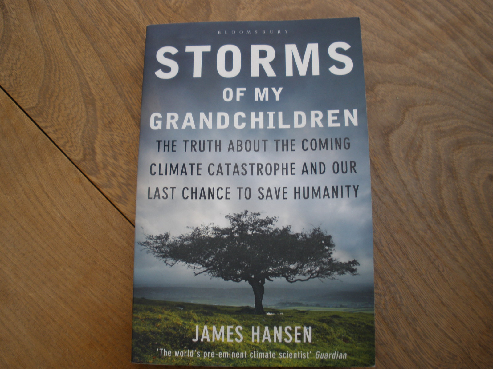 James Hansen, Storms of My Grandchildren, 2009