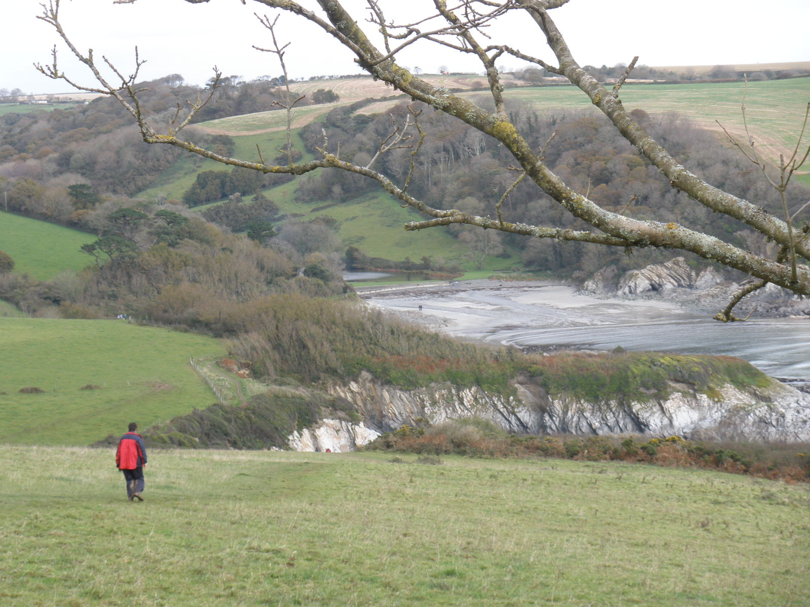 Devon south coast